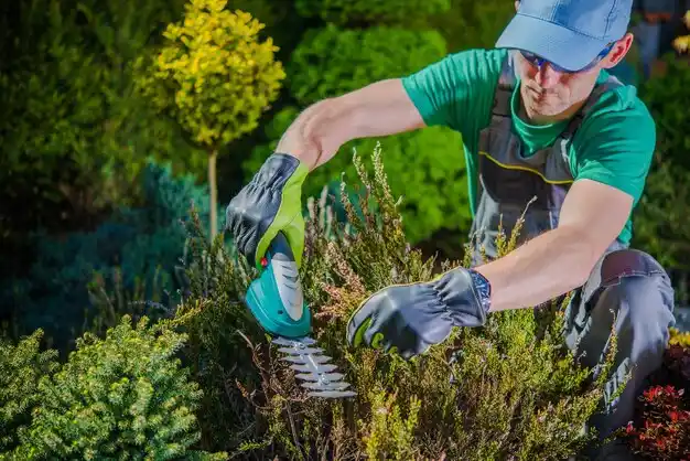 landscaping services Austintown